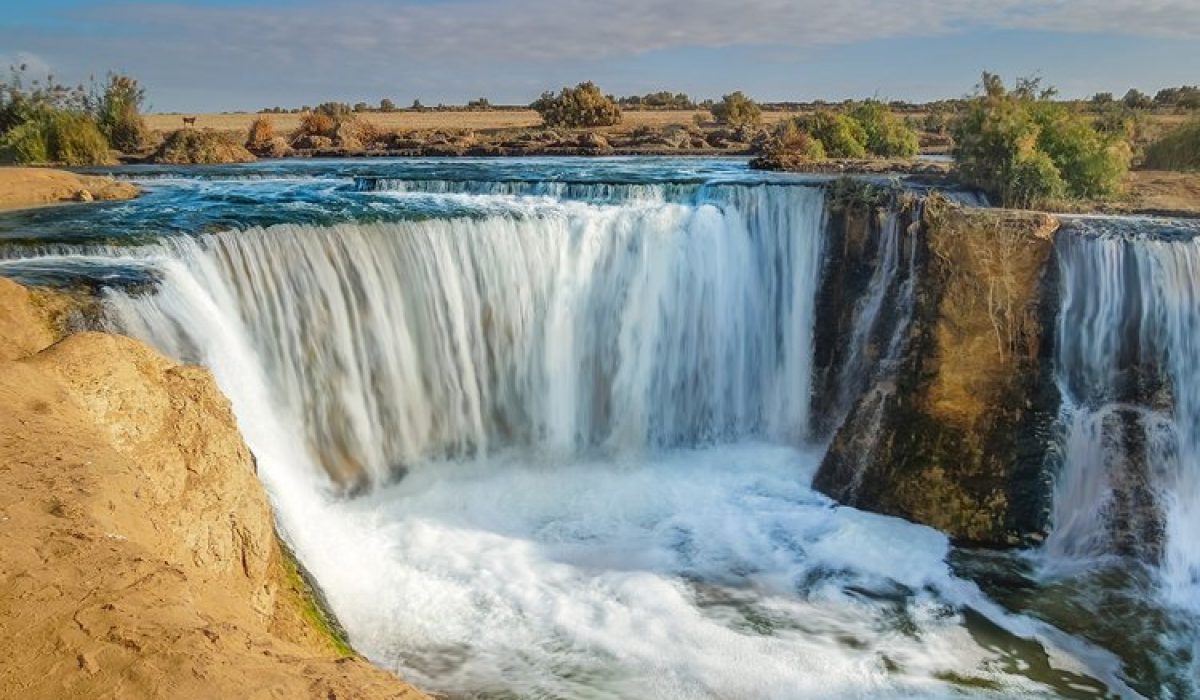 image_750x_62776f2d9ab44