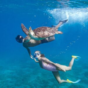 Abu Dabbab Trip: 1-Day Ultimate Luxury Experience