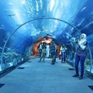 Grand Aquarium: 1 Incredible Day of Sea Life