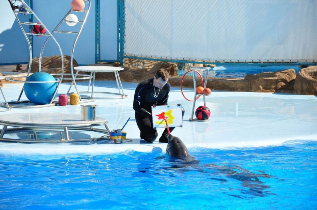 things to do in hurghada.