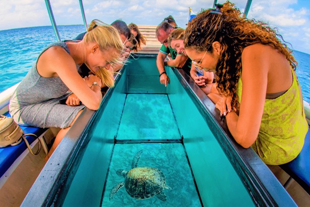 glass-bottom-boat-ride-in-havelock-island.jpg