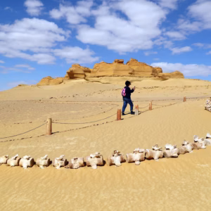 Fayoum Safari: Amazing 4×4 Wadi El Rayan Trip