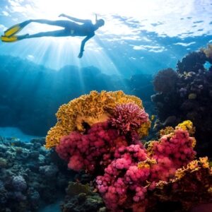 Bianca Island Ausflug ab Hurghada – 6-stündiges magisches Abenteuer