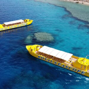 Sea Scope Sharm: 1.5 Magical Hours Under the Red Sea