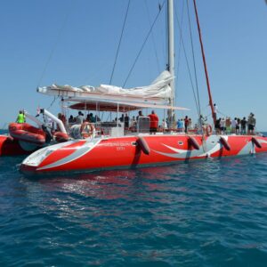 Dolphin House Catamaran: 5-Hour Unforgettable Cruise