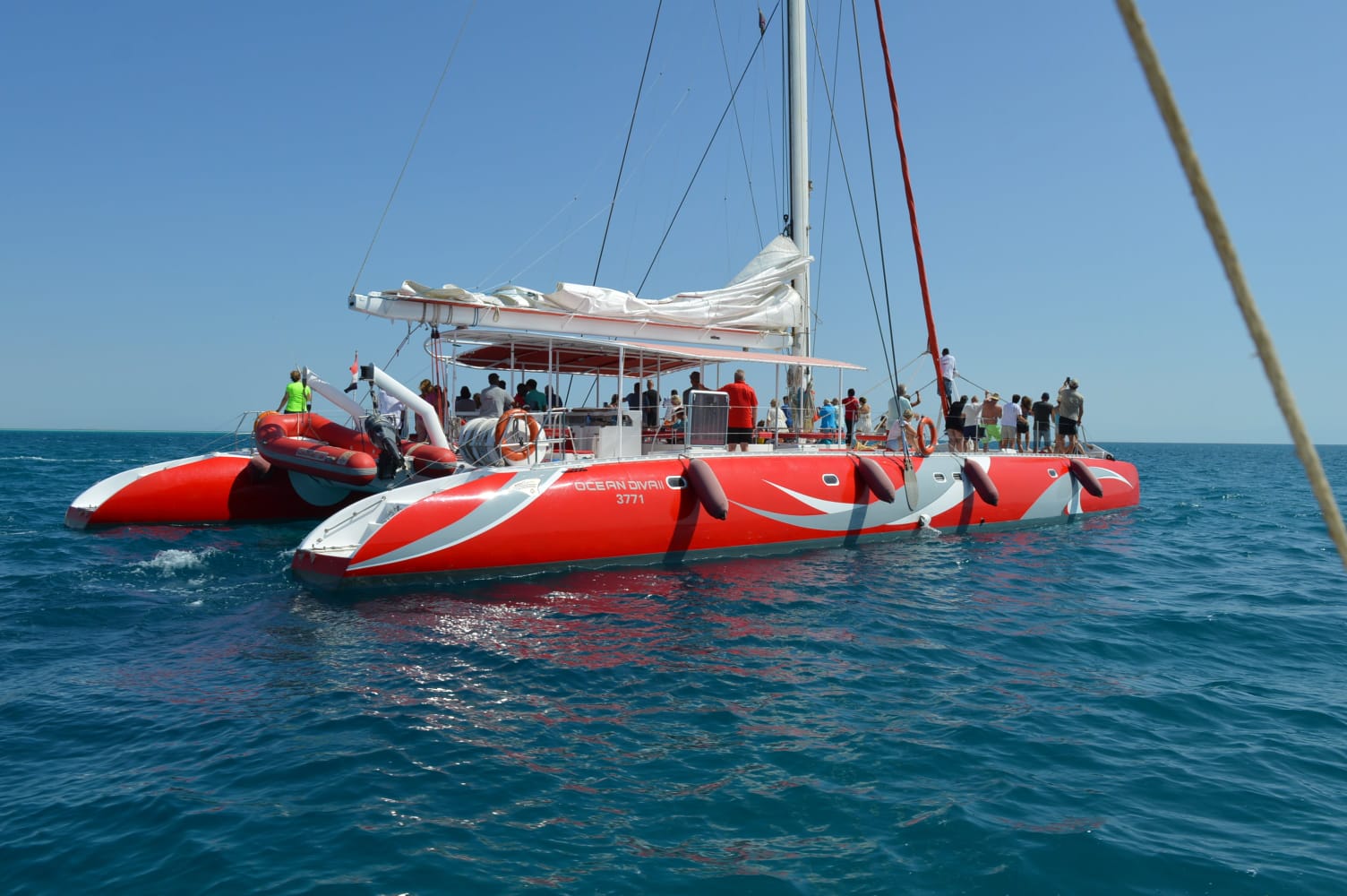 Dolphin House Catamaran Cruise