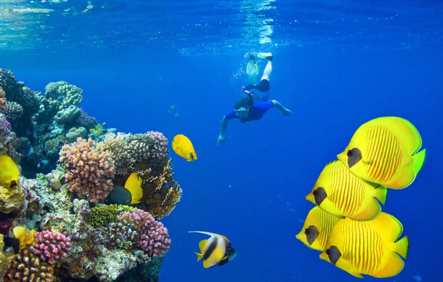 10 beste Aktivitäten in Hurghada 2026 (Insider-Guide von Aquila Adventures) 1 10 beste Aktivitäten in Hurghada 2026 (Insider-Guide von Aquila Adventures)