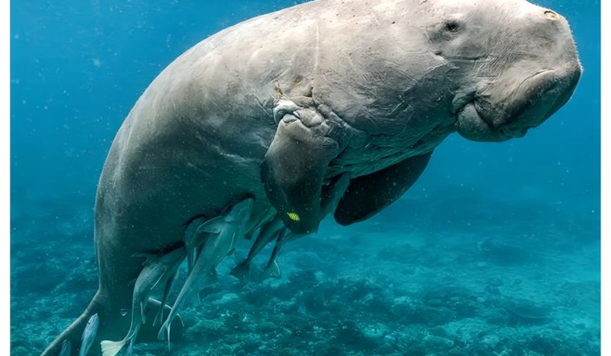 07aa8d8815362b1946626fdce97b48c2