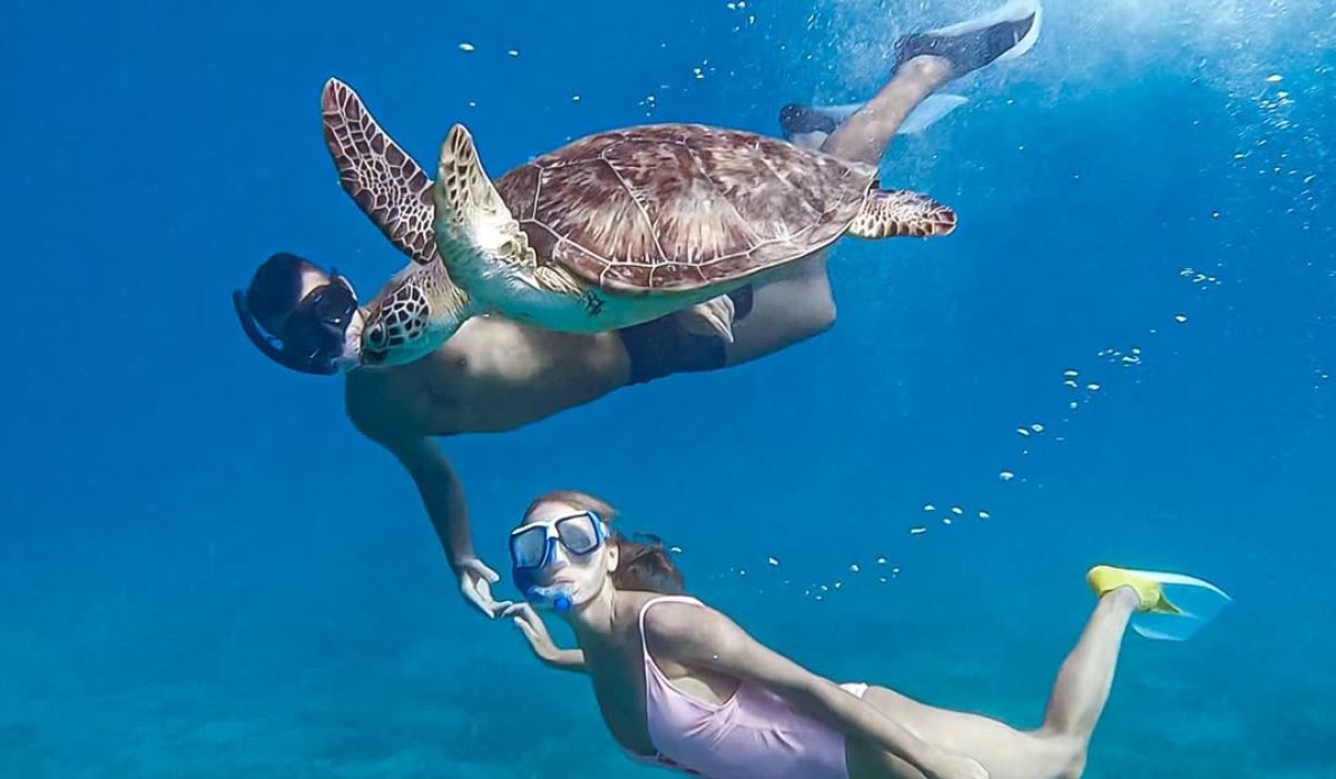 116052757_1184243791935822_5438454849264297605_n