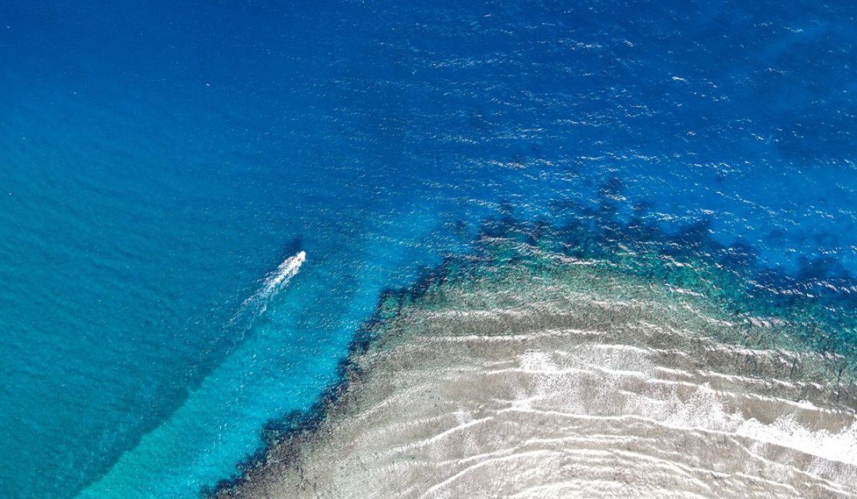 146871059_3455378961240793_7601465205843323789_n