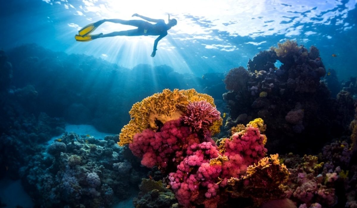 1475902536-Snorkeling,-Hamata-Island