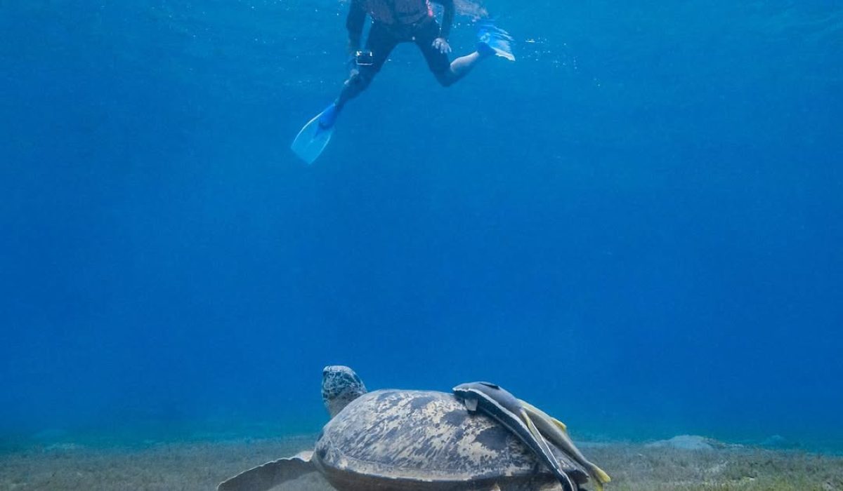 233046864_2958815421060132_2261337138425559874_n