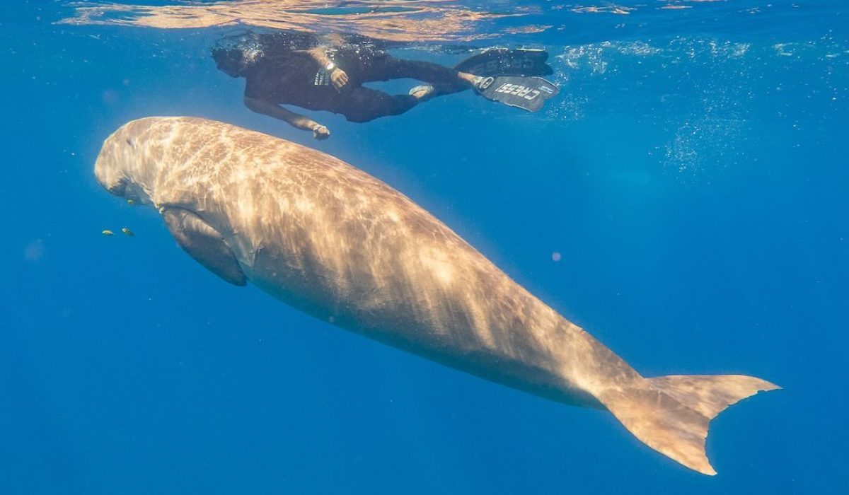 394632678_858814019165697_5604512296508292321_n