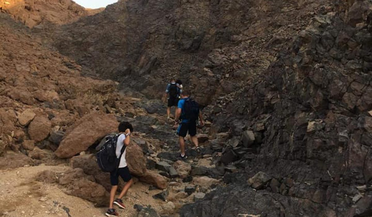 41769918_699339703762280_4831777047665704960_n