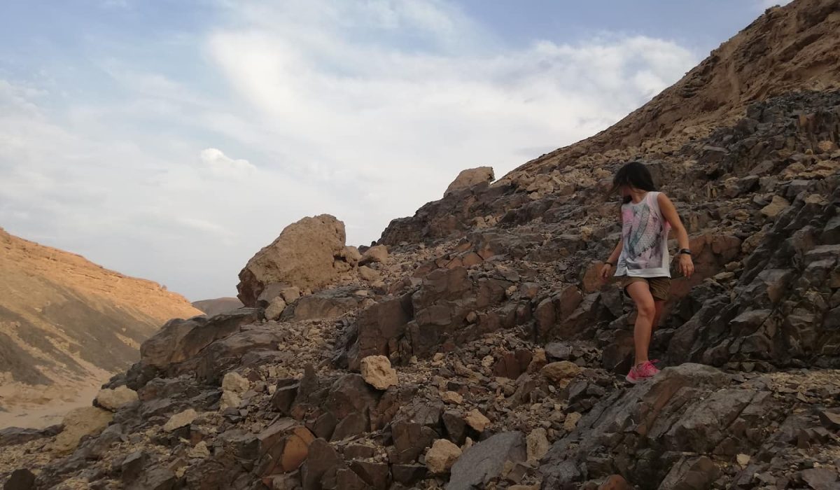 42887288_706959563000294_6674523553309655040_n