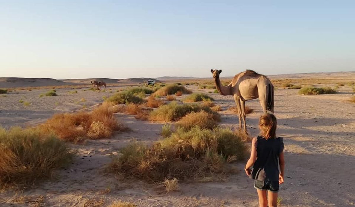 45200412_724211597941757_7473704688060203008_n