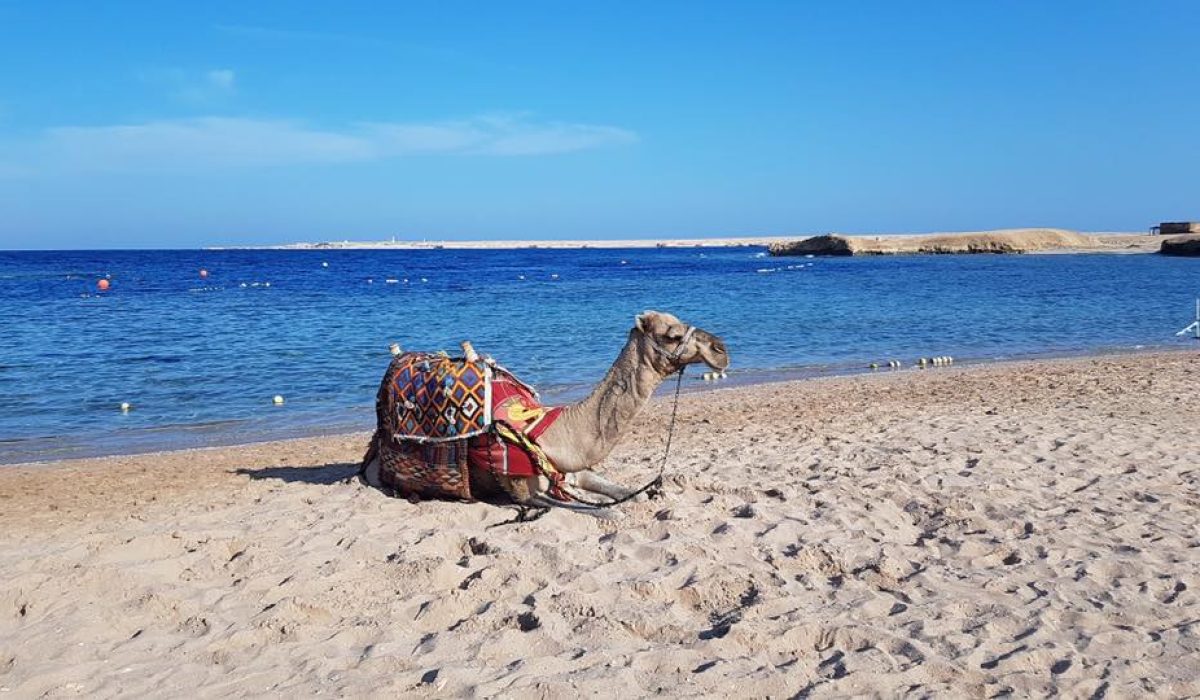 45866255_2164531880244878_4631947200228753408_n