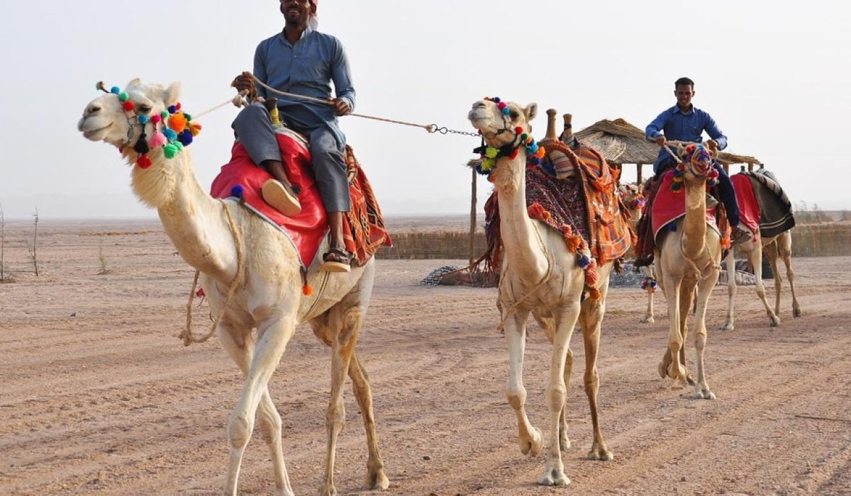 468721723_18032446733597212_347291243108453574_n