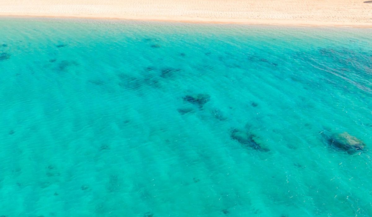 477782745_634607072479792_8161728041766507605_n