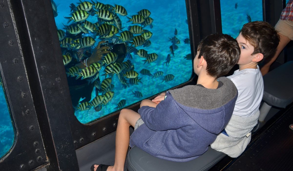 480703560_621371173836120_3581930760700572784_n