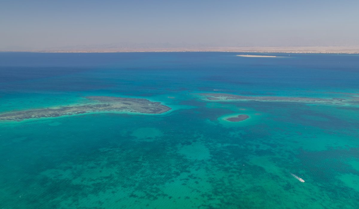 486458937_1067135545444029_5393741103540424490_n