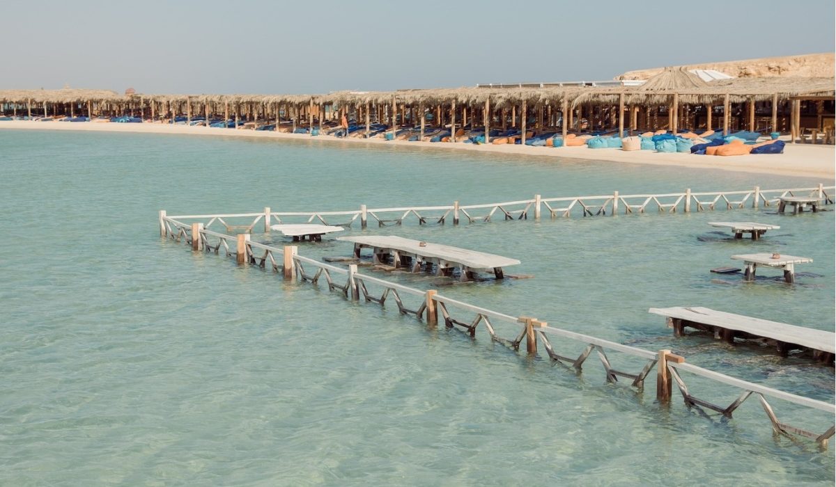 493334326_1094287069395543_8670053389777481637_n