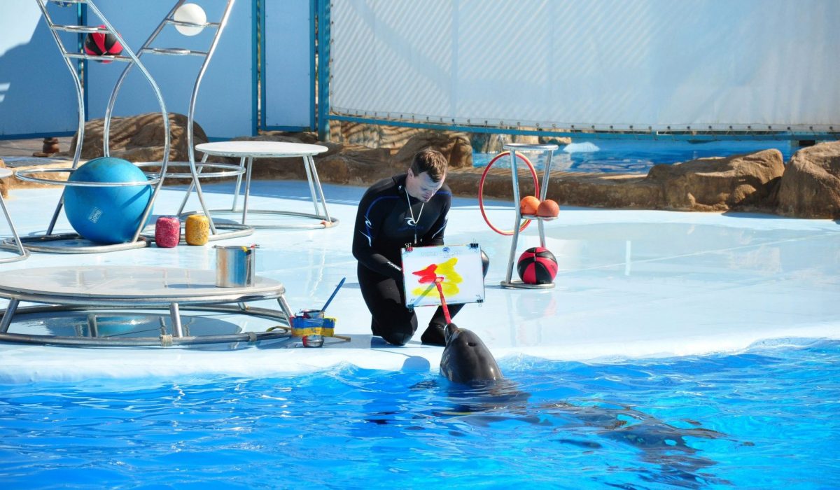 498123347_3689828267828403_7024509350333790908_n