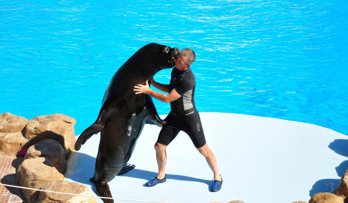 499157642_3689828244495072_3803975064417515958_n