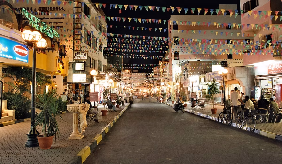 72c734_1744ddccc79a4a0cbcadfe13396b9624~mv2