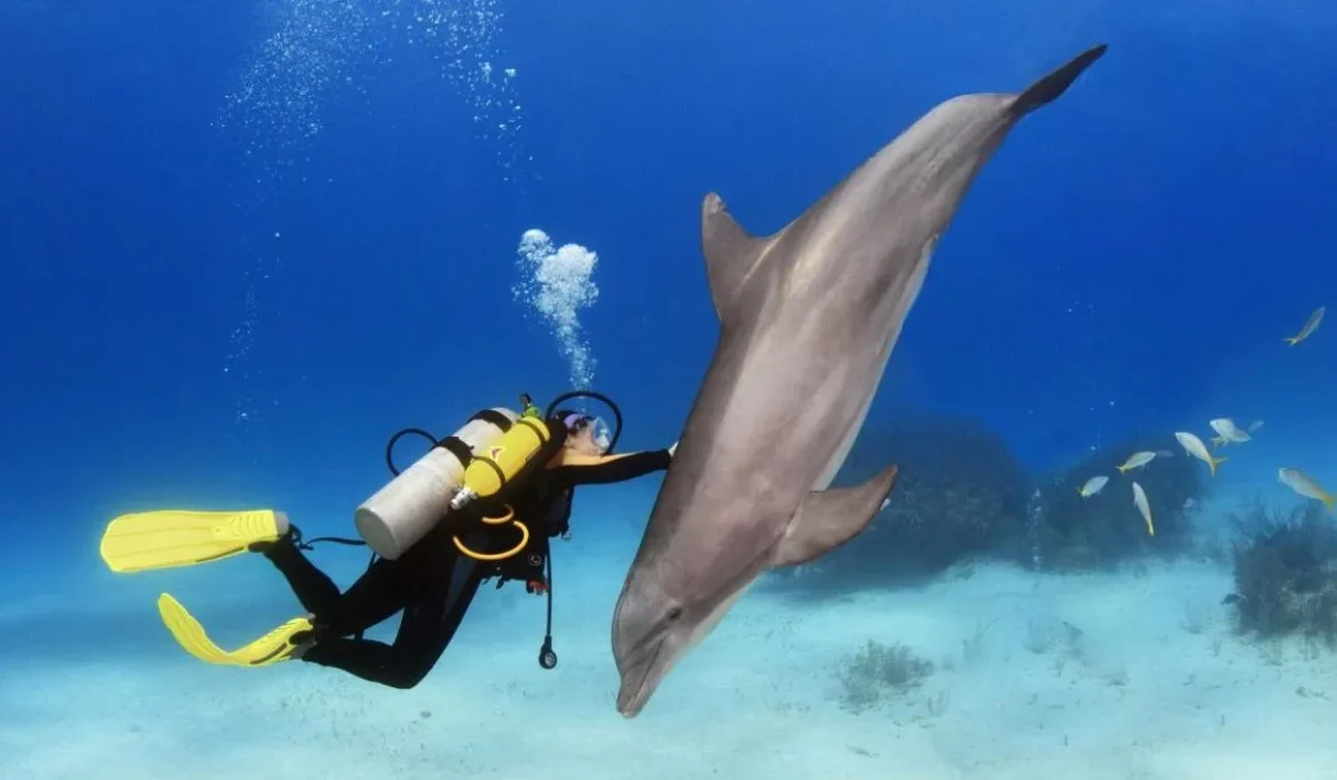 Diving-Excursion-Hurghada-1-e1669968504439