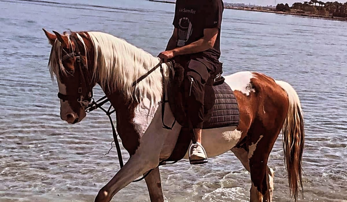 WhatsApp Image 2024-11-26 at 10.19.59 PM