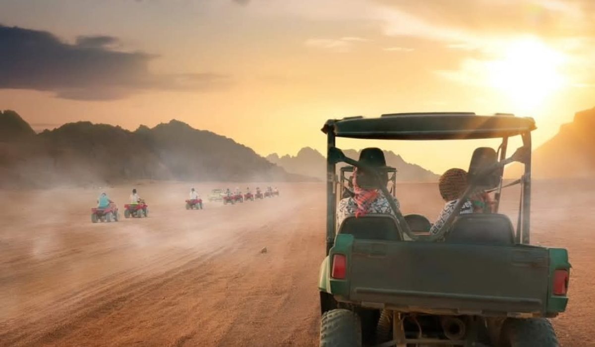 WhatsApp Image 2025-01-08 at 9.28.40 AM-4