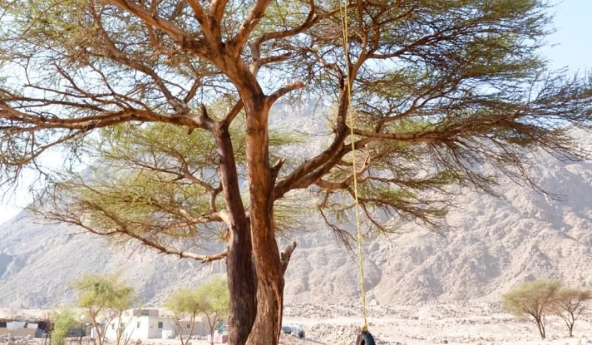 WhatsApp Image 2025-01-08 at 9.28.40 AM-7