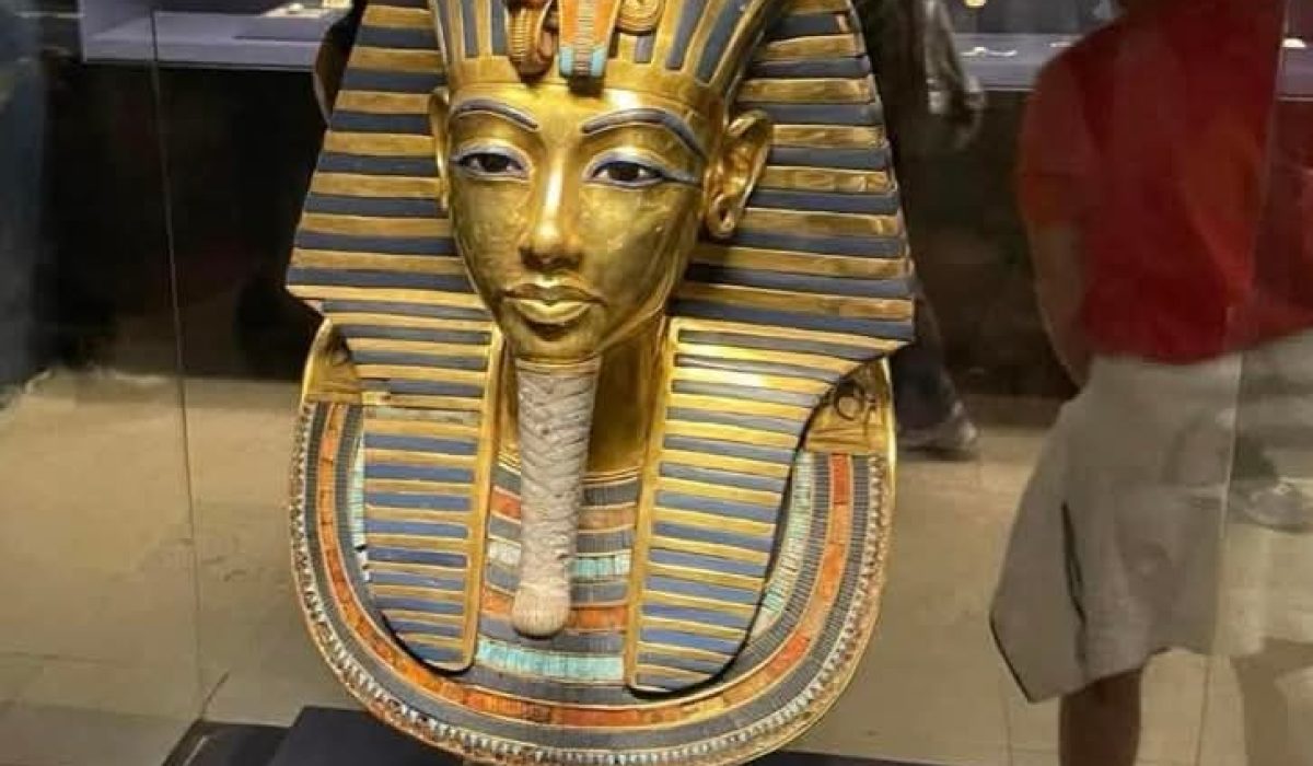 WhatsApp Image 2025-01-16 at 2.51.04 PM-2