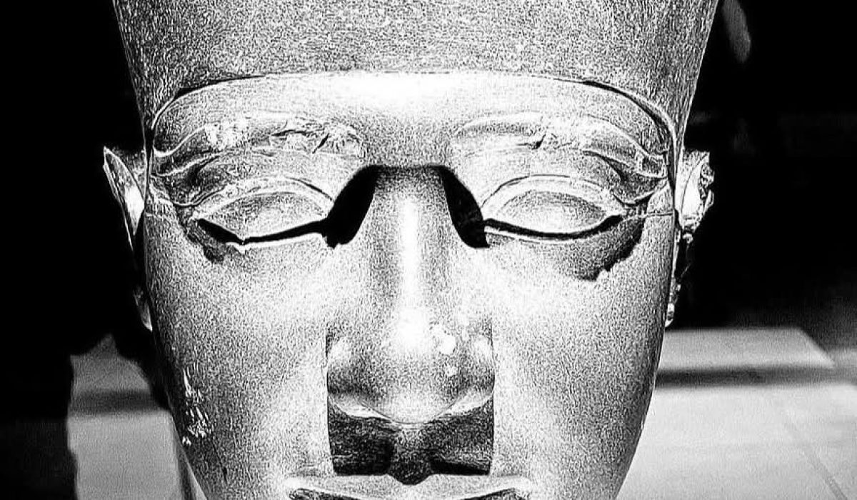 WhatsApp Image 2025-01-16 at 2.51.04 PM