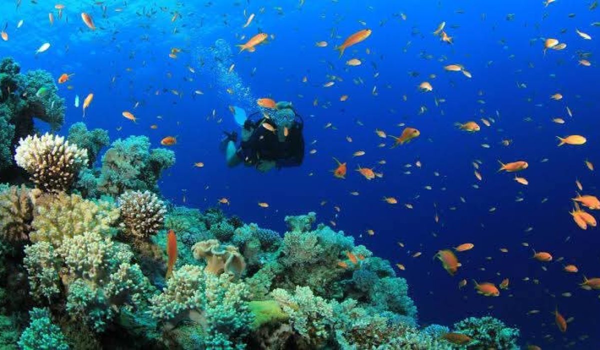 WhatsApp Image 2025-01-18 at 6.46.41 PM-2