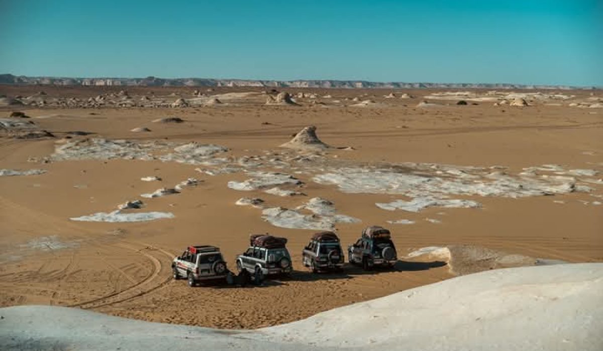 WhatsApp Image 2025-01-22 at 9.03.08 PM-3