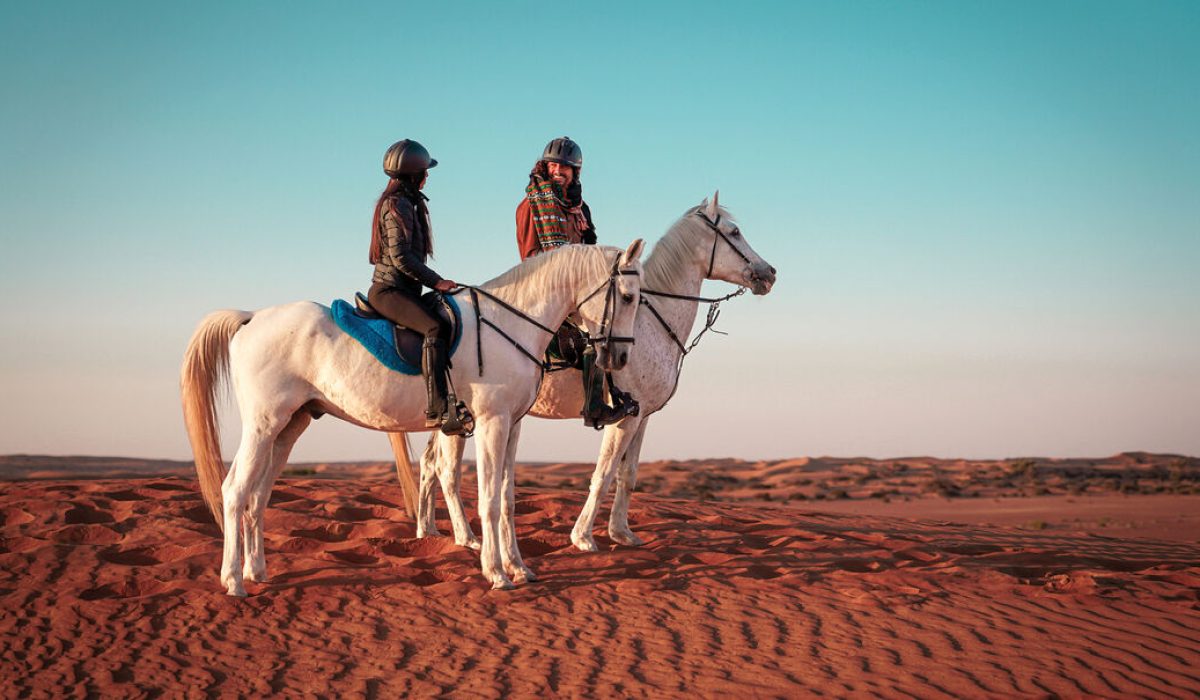 WhatsApp Image 2025-02-03 at 2.11.24 PM-2