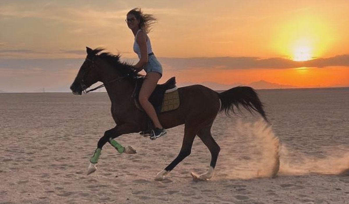 WhatsApp Image 2025-02-03 at 2.13.23 PM