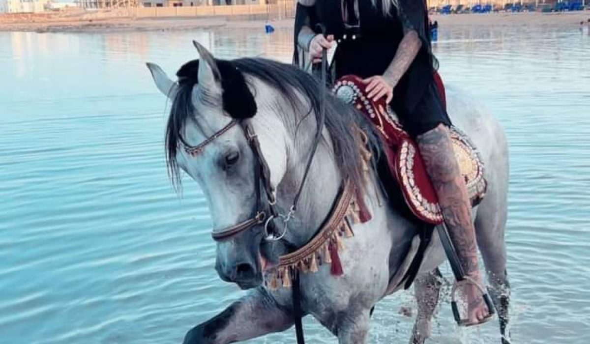 WhatsApp Image 2025-06-10 at 11.07.30 PM (1)