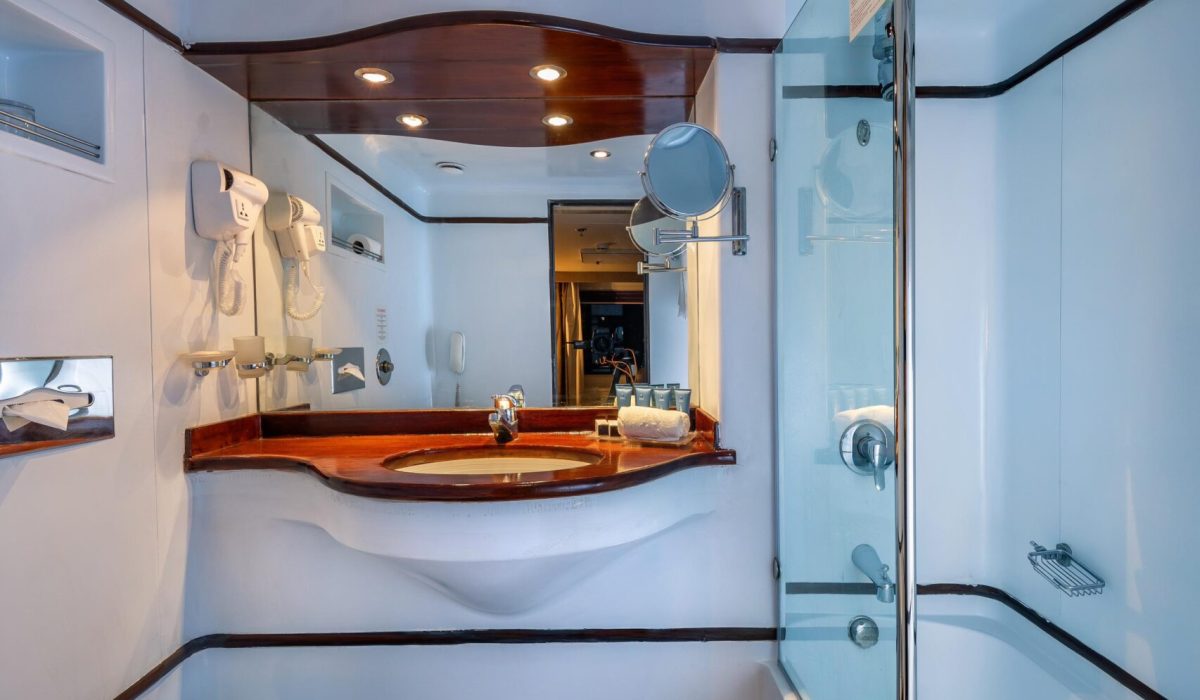 WhatsApp Image 2025-06-27 at 3.26.41 PM (4)