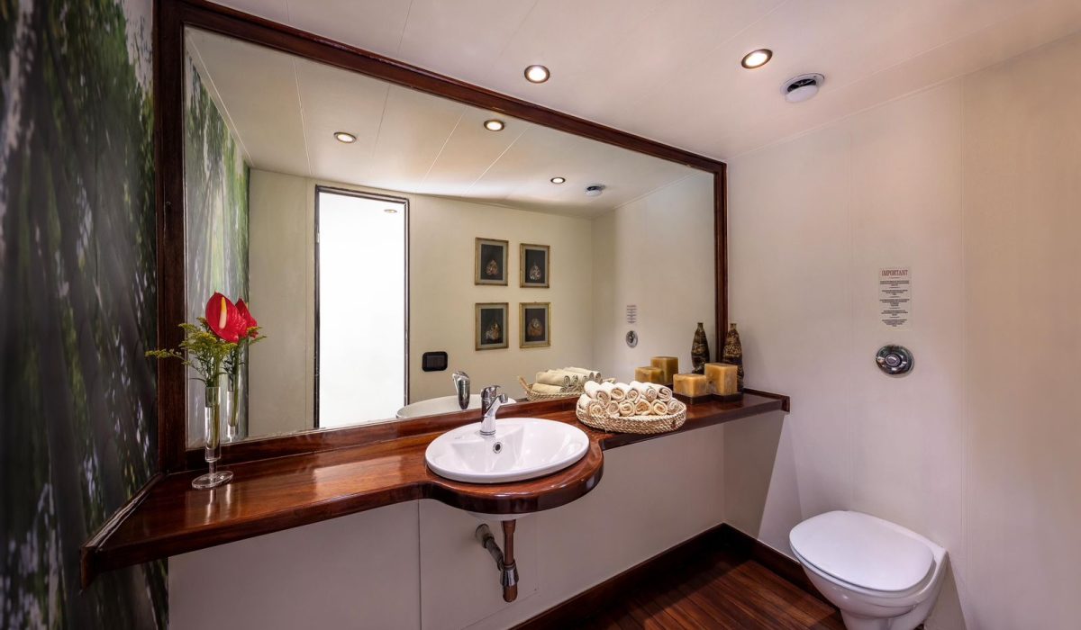 WhatsApp Image 2025-06-27 at 3.26.43 PM (5)