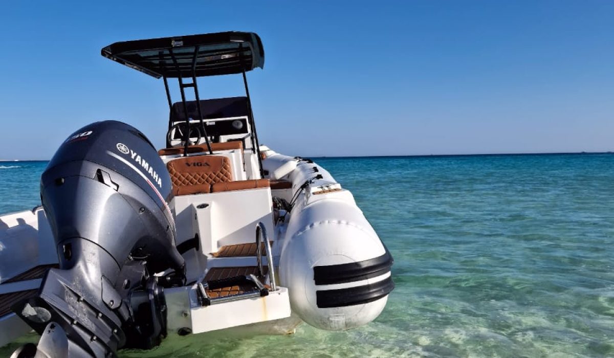 WhatsApp Image 2025-10-02 at 10.53.09 PM