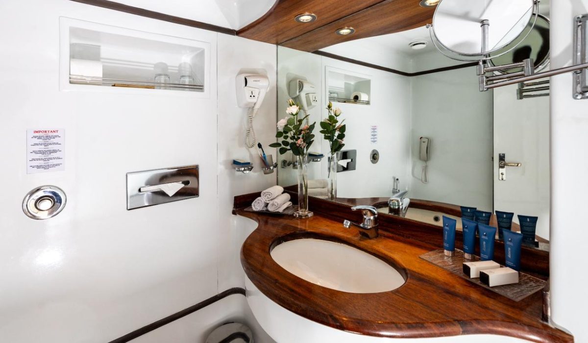 WhatsApp Image 2025-10-20 at 10.36.46 PM