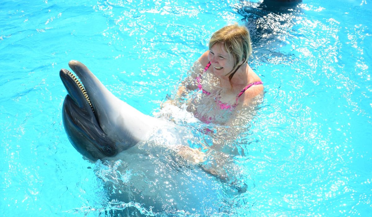 WhatsApp Image 2025-10-29 at 3.32.29 PM (1)