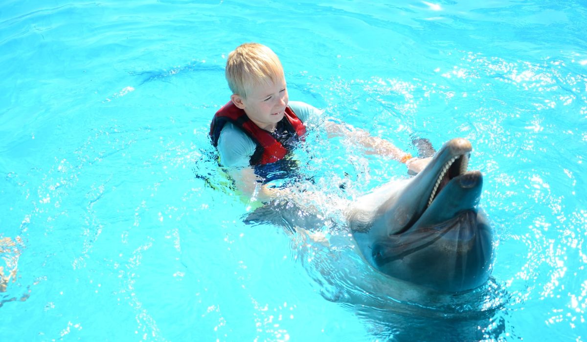 WhatsApp Image 2025-10-29 at 3.32.32 PM (1)