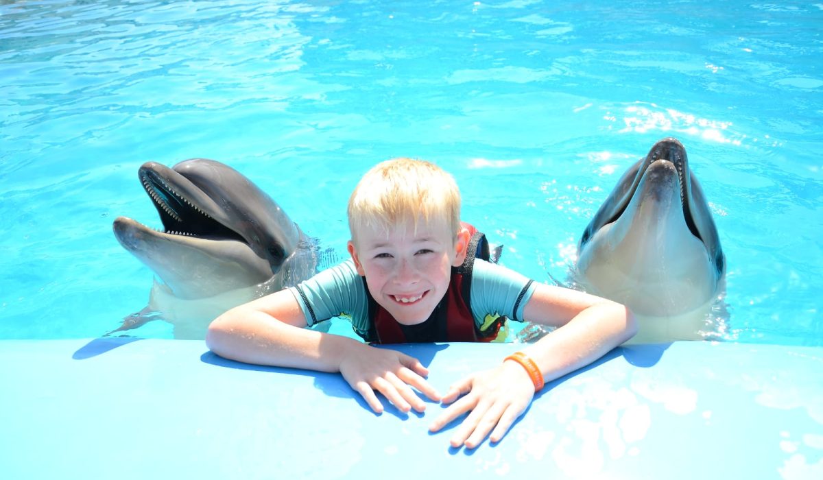 WhatsApp Image 2025-10-29 at 3.32.33 PM (1)