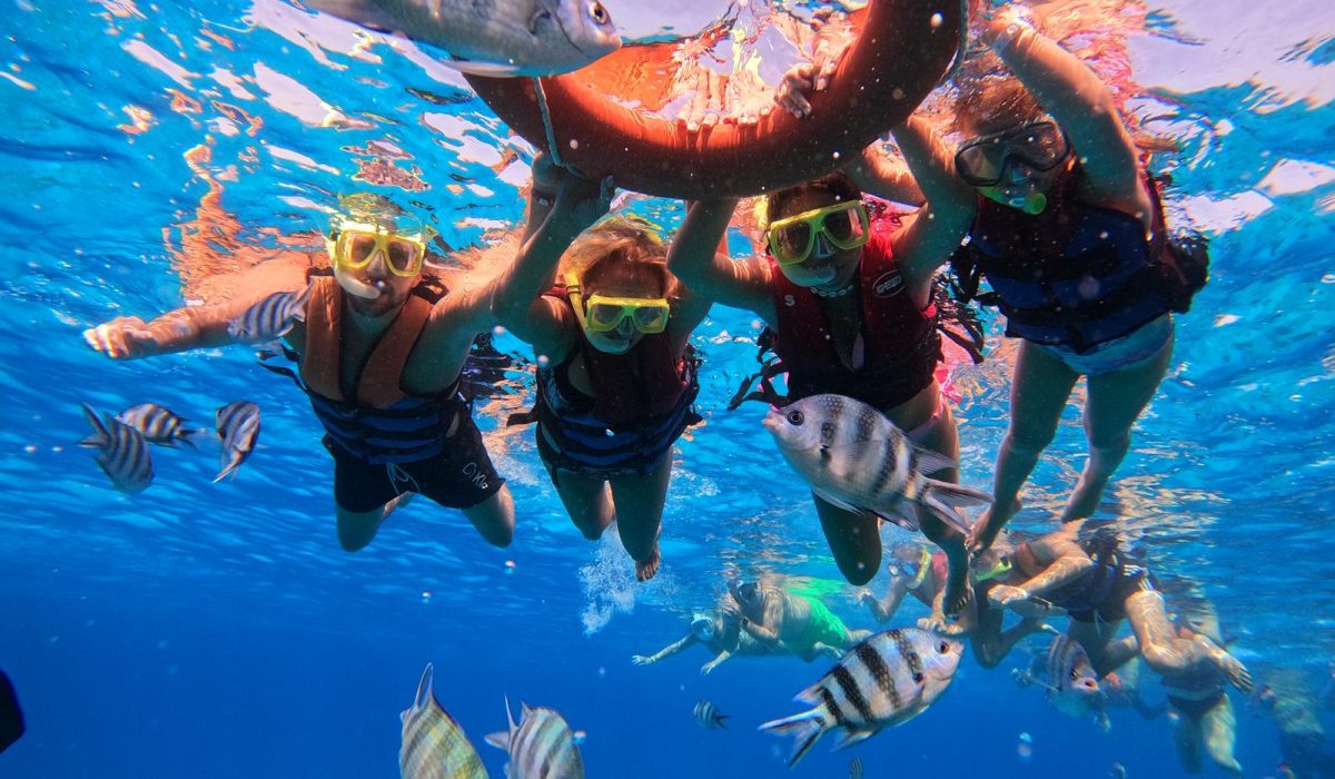 WhatsApp Image 2025-11-07 at 1.05.19 PM (3)