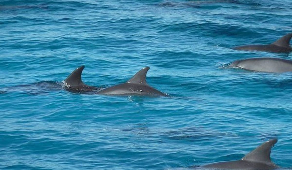 agypten-hurghada-aswan