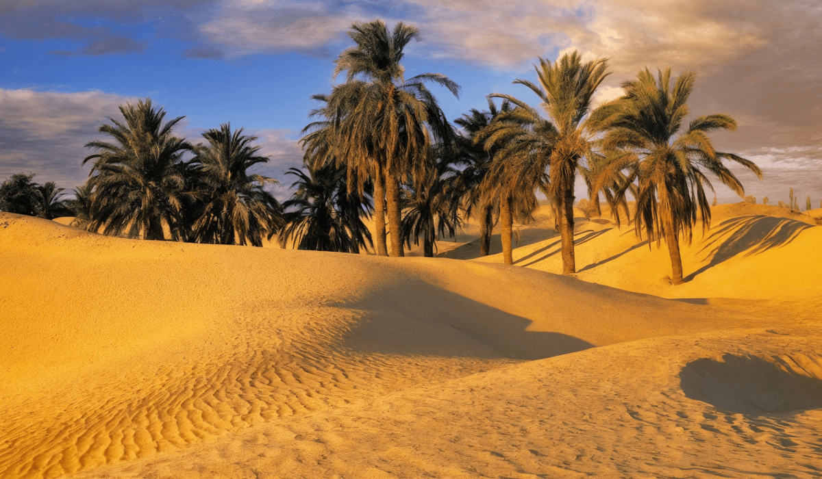 enhanced_940x500-1-50-e73600cbdcf090900d4a7ad7086d3228 (1)